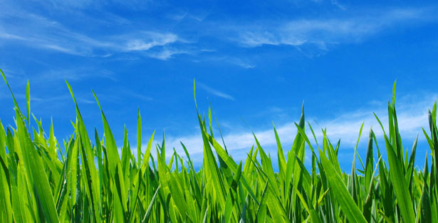Soluzioni tecnologiche ecosostenibili, razionalizzazione delle fonti energetiche e contenimento dei consumi